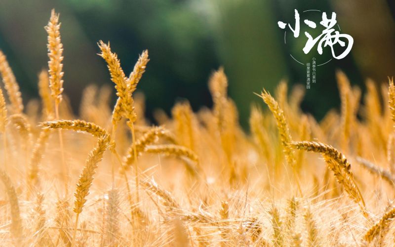 人生小滿勝萬全！